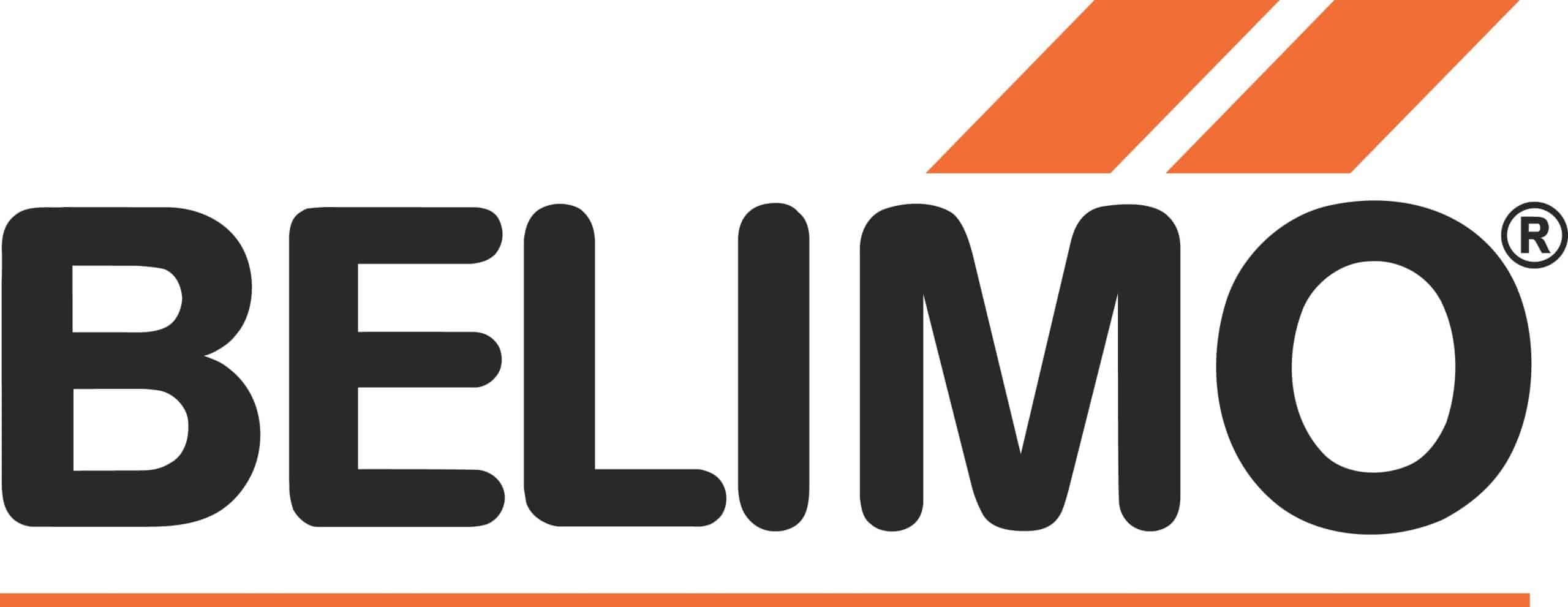 ifm Logo